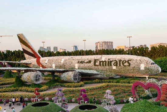 Miracle garden Dubai